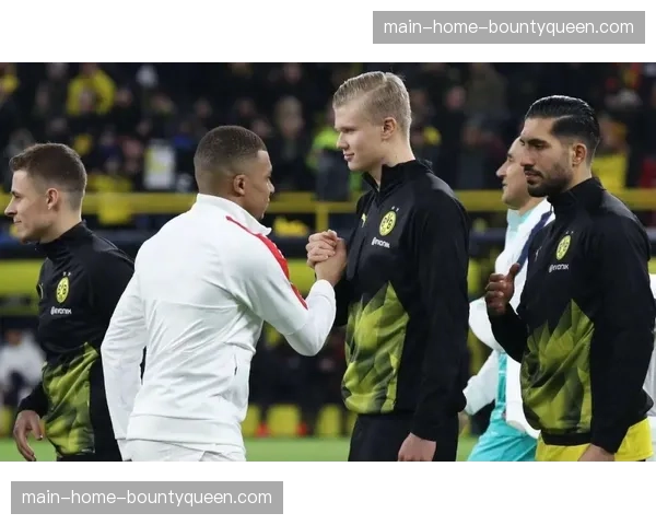 老兵的最后一舞：爱尔兰传奇前锋彼得·奥马奥尼的谢幕战